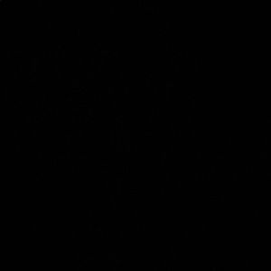 Meet your Posher, Connie